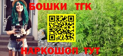 МДПВ Моздок